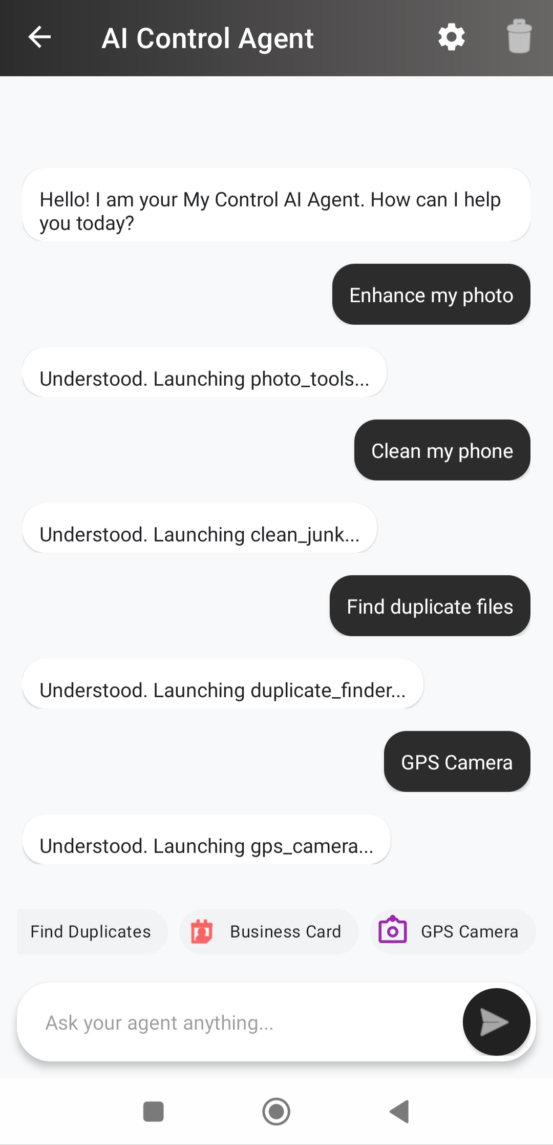 AI Agent Interface
